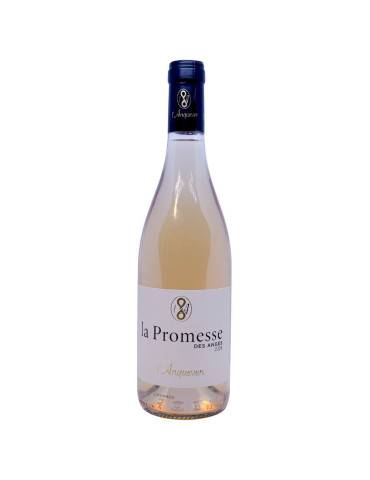 Chez Tonton | LA PROMESSE DES ANGES - 2023 - Domaine L'Anqueven